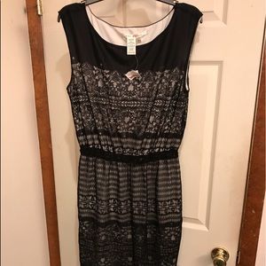 Ladies Max Studio Black Lace Dress Brand New